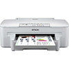 Epson WorkForce WF-3010DW Multifunction Printer Ink Cartridges