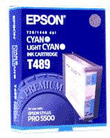 Epson C13T489011 Cyan/Light Cyan T489 Ink Cartridge (110ml)