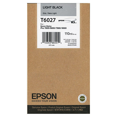 Epson C13T602700 Light Black T6027 Ink Cartridge (110ml)