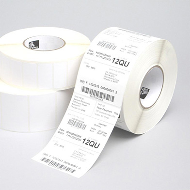 Epson C33S045714 ColourWorks C7500 PE Matte Die-cut Label Roll (102mm x 152mm, 800 Labels)