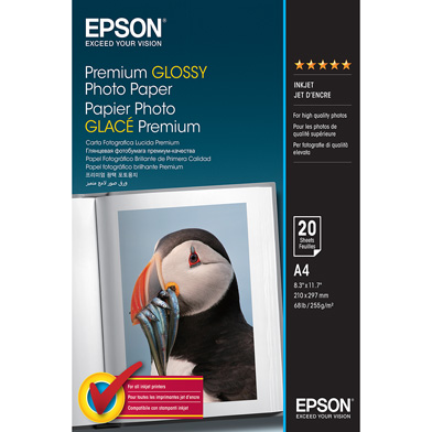 Epson C13S041287 Premium Glossy Photo Paper - 255gsm (A4 / 20 Sheets)