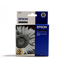 Epson C13T01740210 T017 Black Ink Cartridge Twin Pack (2 x 17ml)