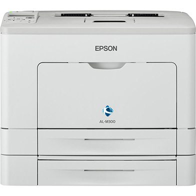 Epson WorkForce AL-M300DTN