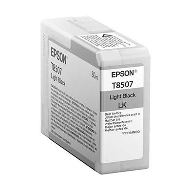 Epson C13T850700 Light Black T850700 Ink Cartridge (80ml)