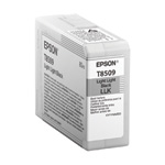 Epson Light Light Black T850900 Ink Cartridge (80ml)
